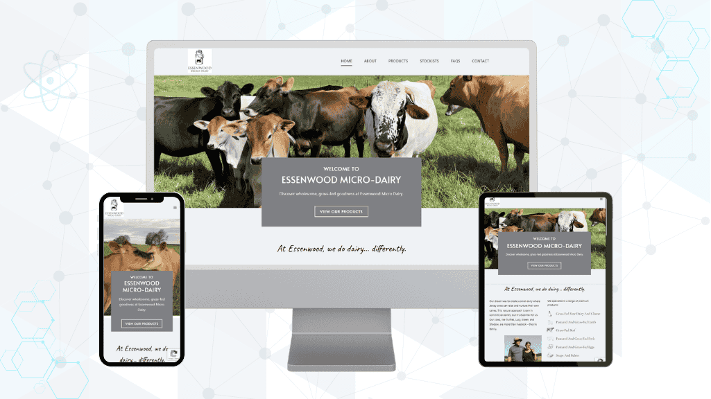 MatzoTech Web Projects 1 2