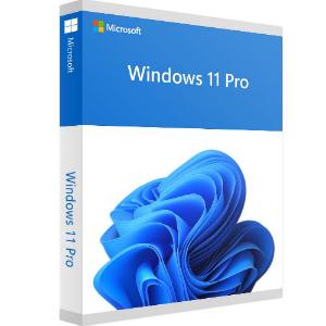 WIN11PUP.jpg. Upgrade: Windows 11 Pro Install Upgrade