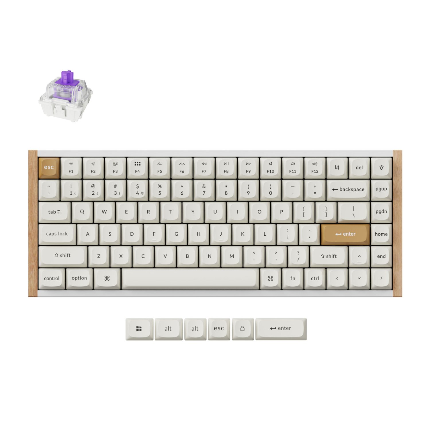 Keychron K2 HE Wireless Special Edition Magnetic Custom Keyboard | NEBULA Switch – White 1 Keychron_K2H-Q1_wr_01a.jpg. Keychron K2 HE Wireless Special Edition Magnetic Custom Keyboard | NEBULA Switch – White