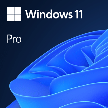 Microsoft windows 11 license DVD Single User License 3 FQC-10528_default.png. Microsoft windows 11 license DVD Single User License