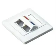 KD-FP13.jpg. NetiX Angled Face Plate Dual Port with Shuttle