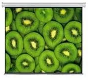 CEW300.jpg. Esquire Electric Projector Screen 300 X 169 Retail Box No Warranty