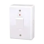 LS94230DP-001.jpg. Lesco 2 Pole Surface Isolator Switch Vertical with LED Indicator Light- Complete with White Extension Box