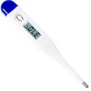 CS12917-001.JPG. Casey Electronic Thermometer With Contact Measurement Technology- Easy To Use For Fever Measurement
